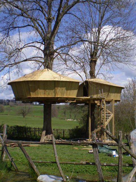 construction-cabane-dans-arbre