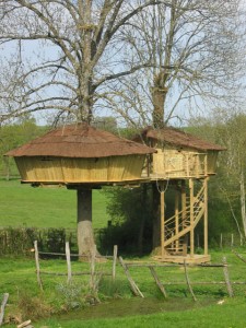 cabane-arbre-bourgogne-1