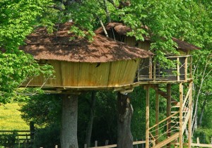 Cabane dans les arbres en Bourgogne