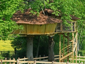 cabane-arbre-bourgogne-7