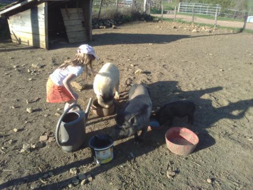 Découverte de la ferme, bonjour Lydie et José...