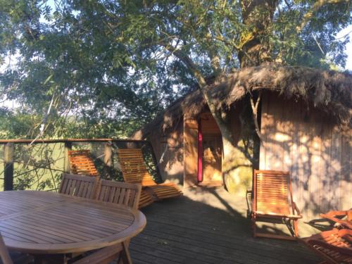 Terrasse de la Cabane dans les Arbres