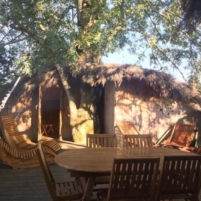 Terrasse de la Cabane dans les Arbres