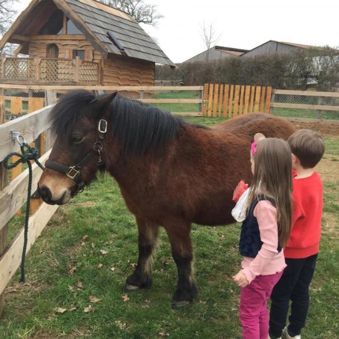 S'occuper du poney